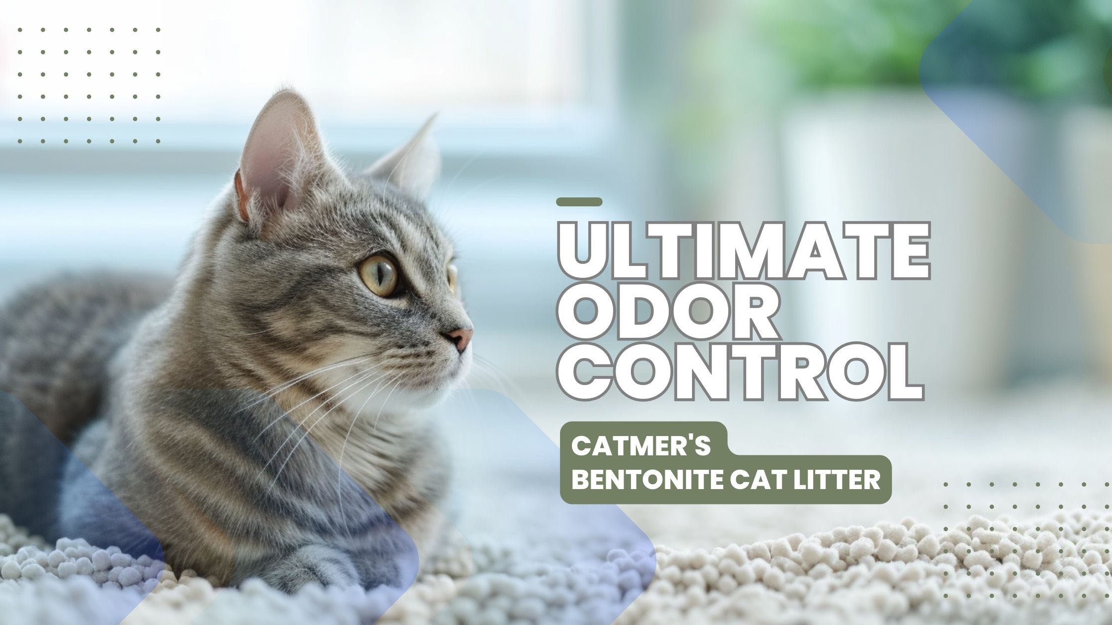 Banner showcasing Catmer's Bentonite Cat Litter with Lavender Scent for the best odor control in Dubai, emphasizing cleanliness, freshness, and a pleasant home environment for cat owners.