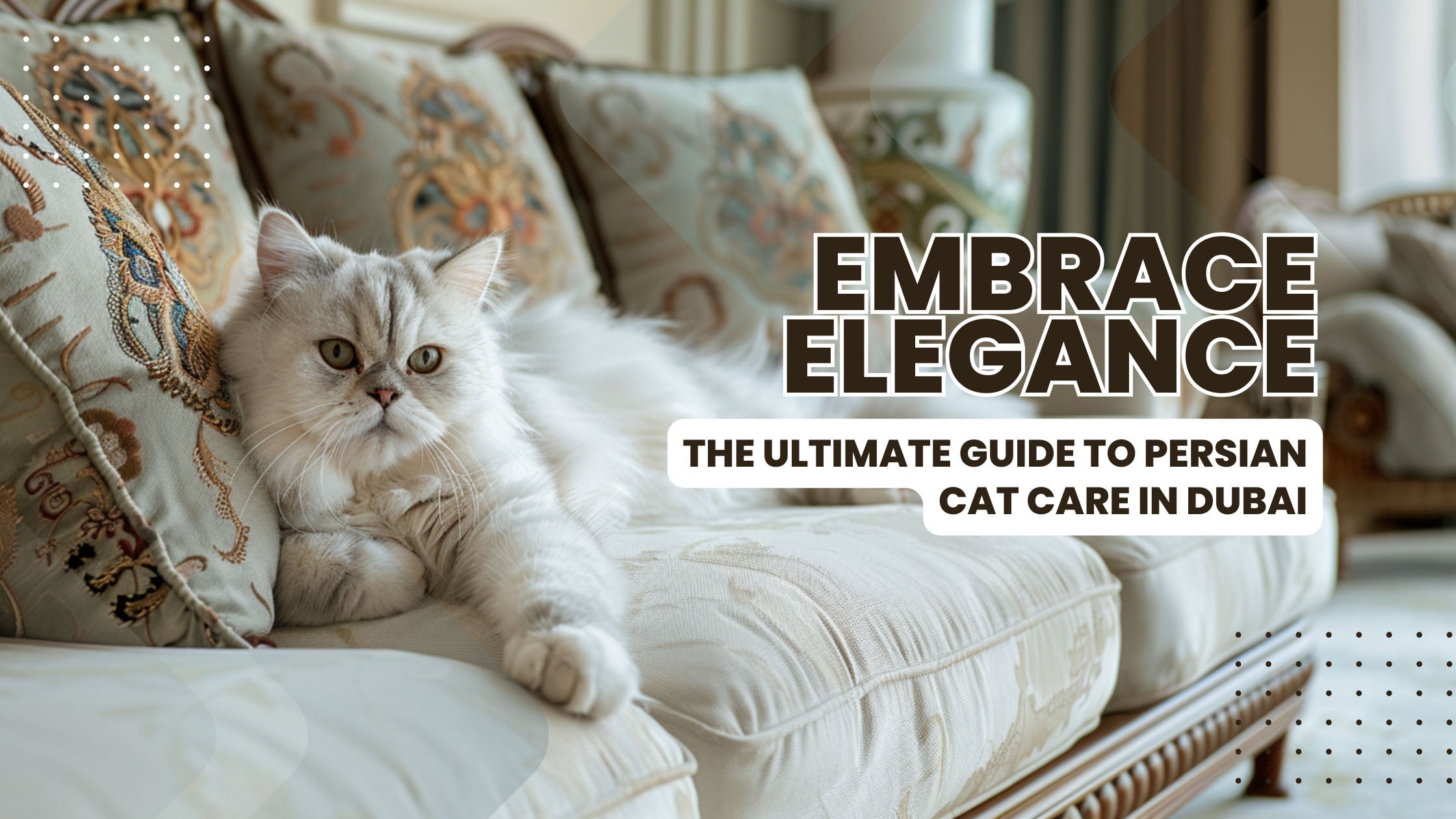 The Plush Life: A Persian Cat Owner's Guide in Dubai